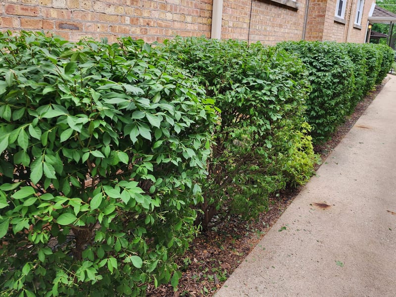 Max Management LLC — Quality Work, Clean Results | South Chicago ...